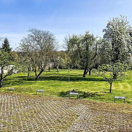 公寓 Burgfried - App-3 By Interhome *